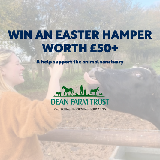 Weekly Catch Up || The Dean Farm Trust Raffle